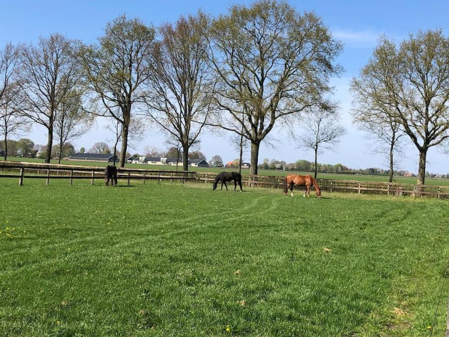 Linderhuisje, Rust, Ruimte, Privacy En Natuur Exterior foto